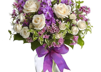 Augusto Mario Carraro